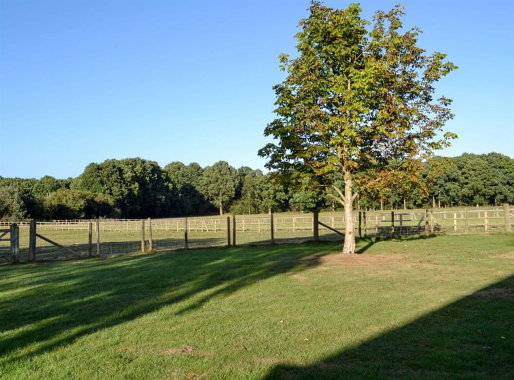 Garden at Maplehurst Barn Stables in Staplehurst, near Maidstone, Kent
