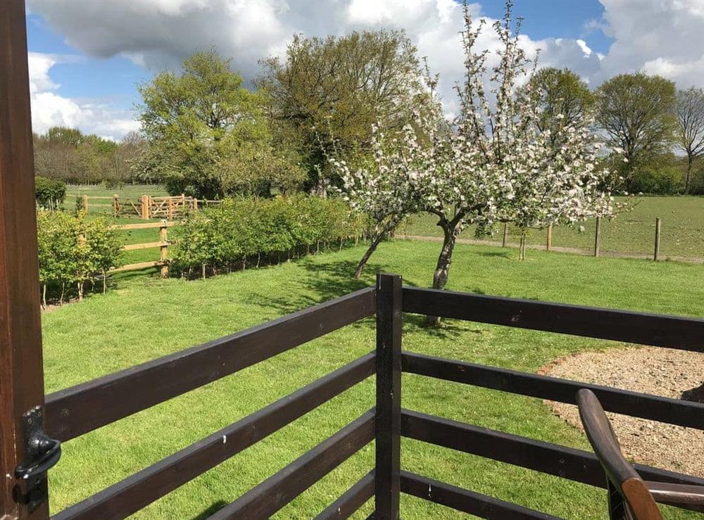 View from kitchen windows to paddock and fields to the West at Maplehurst Barn Stables in Staplehurst, near Maidstone, Kent
