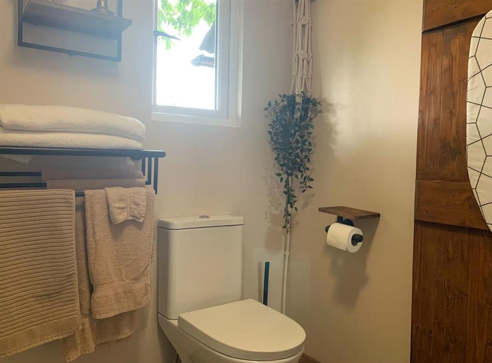 Shower room (photo 3) at Mardin in Boyton, near Launceston, Cornwall