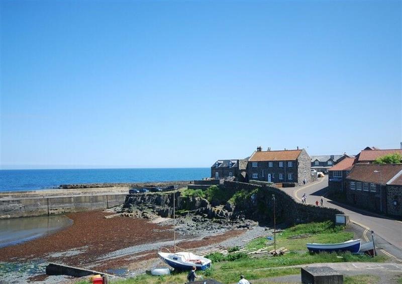This is the garden at Maries Cottage, Craster