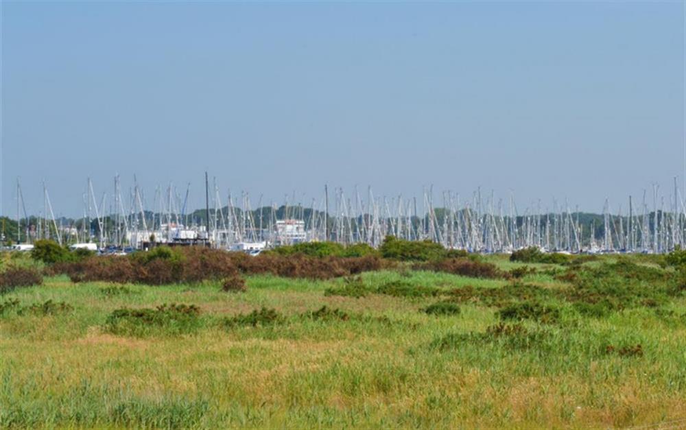 View of the marina from the sea wall
