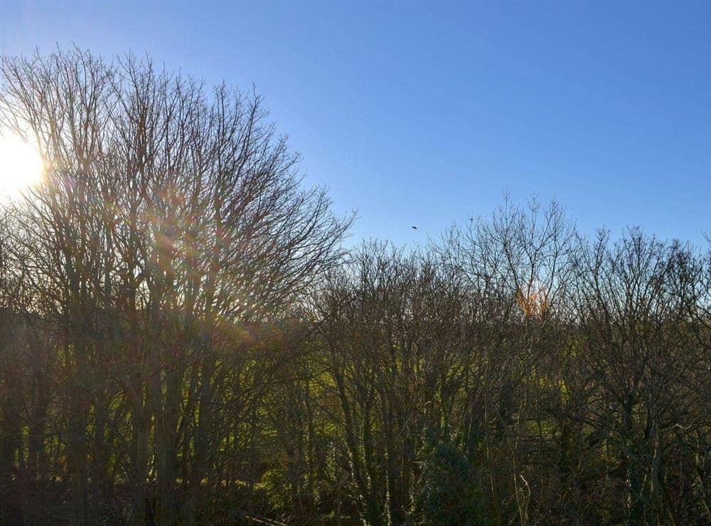 View (photo 2) at Marleys Retreat in Holywell, near Newcastle Upon Tyne, Northumberland