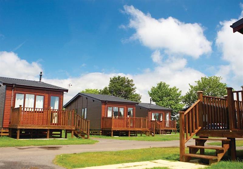 Typical Silver Plus Lodge 2 at Marlie Farm in New Romney, Kent