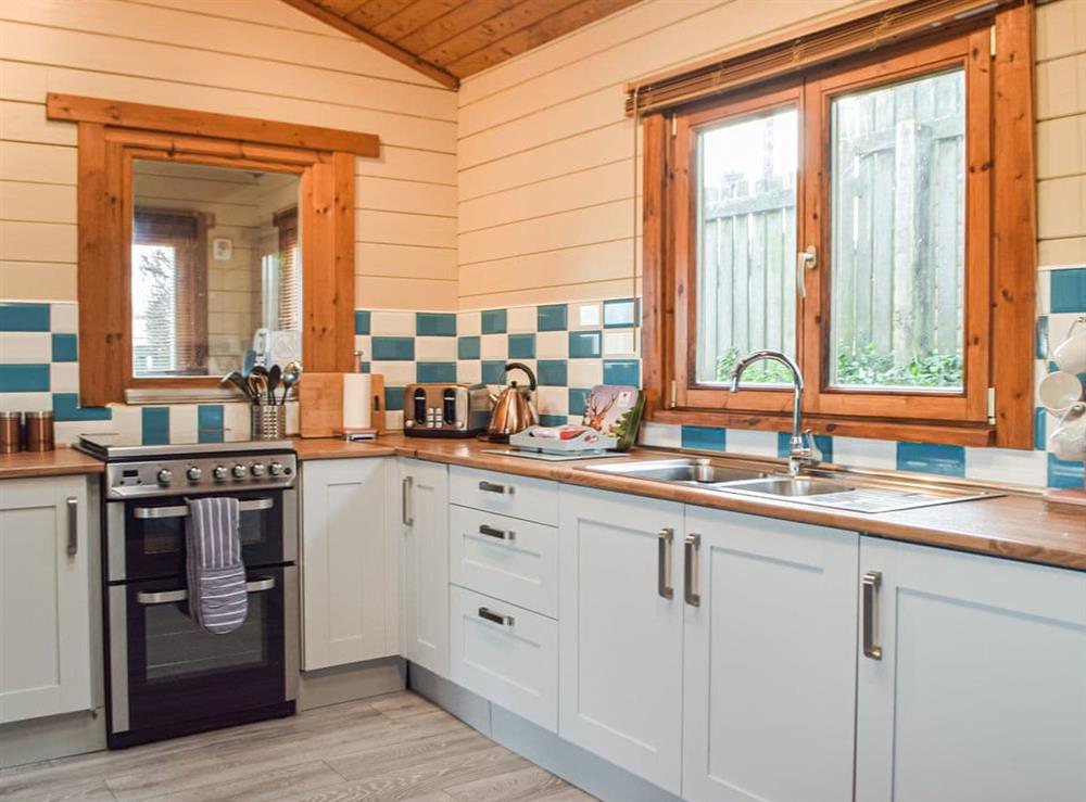 Kitchen at Marros Hill Log Cabin in Marros, near Laugharne, Dyfed