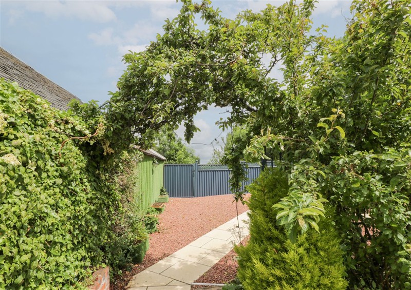 Enjoy the garden at Marshill Farm House, Draffan near Kirkmuirhill