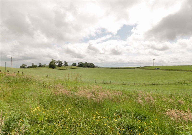 The garden (photo 2) at Marshill Farm House, Draffan near Kirkmuirhill