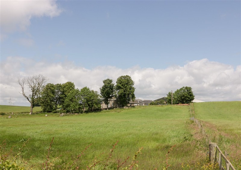 The garden in Marshill Farm House (photo 2) at Marshill Farm House, Draffan near Kirkmuirhill