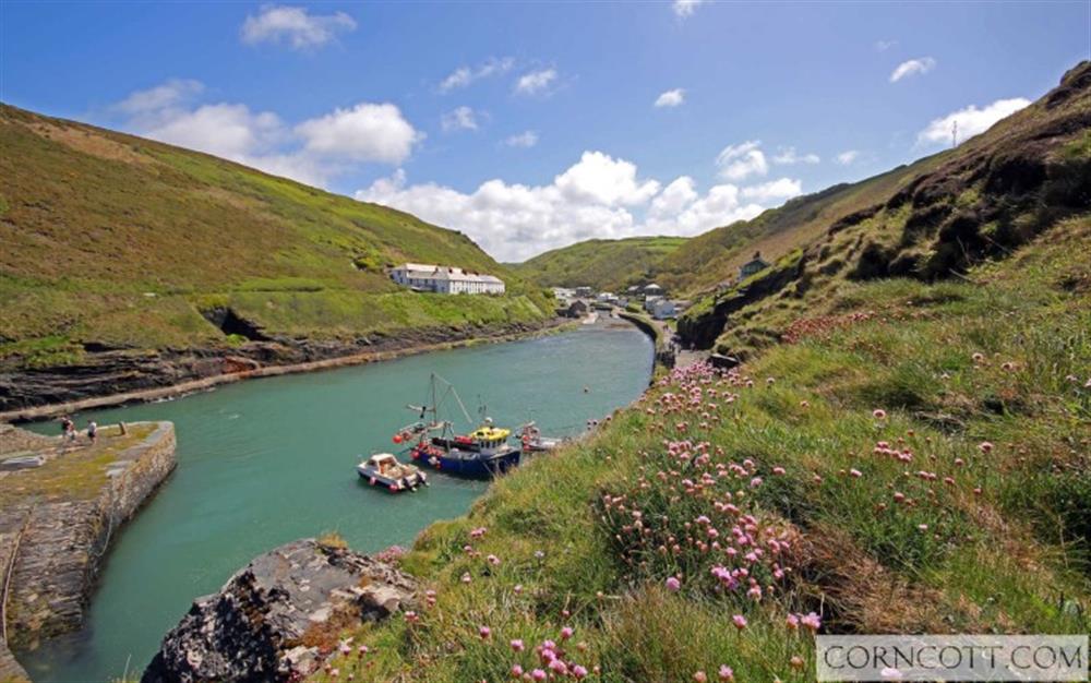 Boscastle at Martha's Harbour in Tintagel