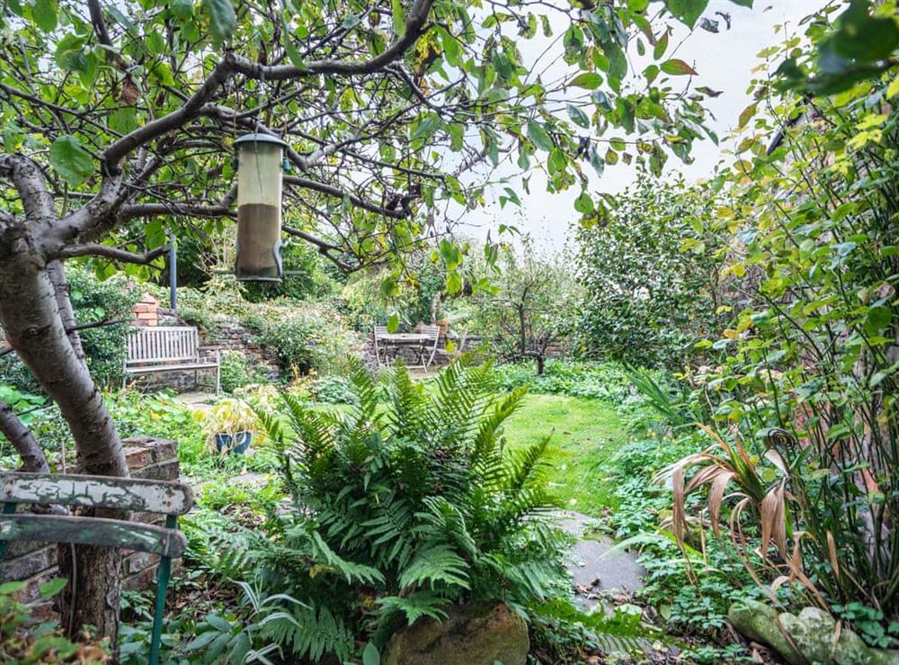 Garden (photo 3) at Martineau House in Tynemouth, Tyne and Wear