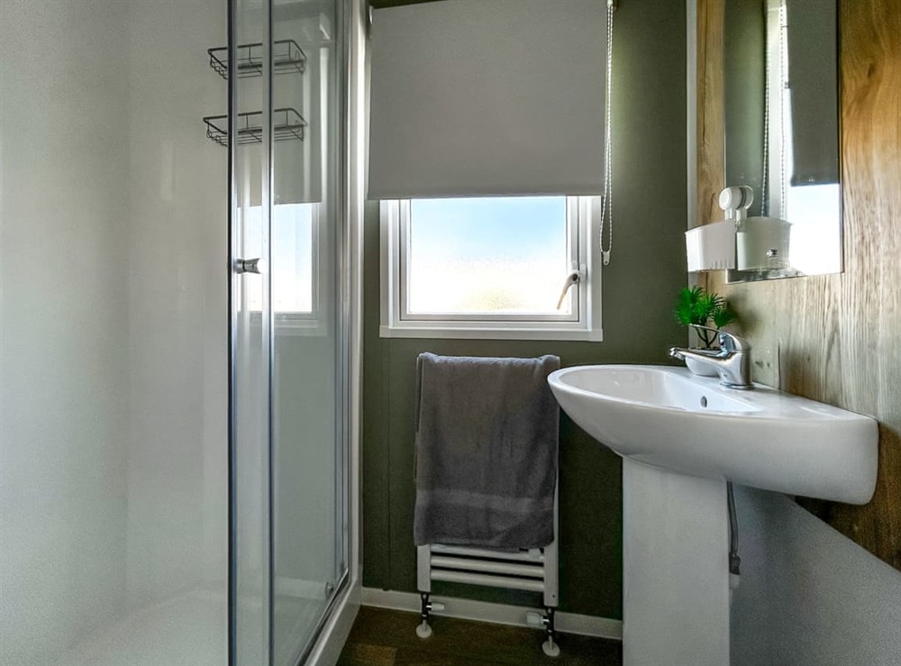 Shower room at Martins Holiday Haven in Camber, East Sussex