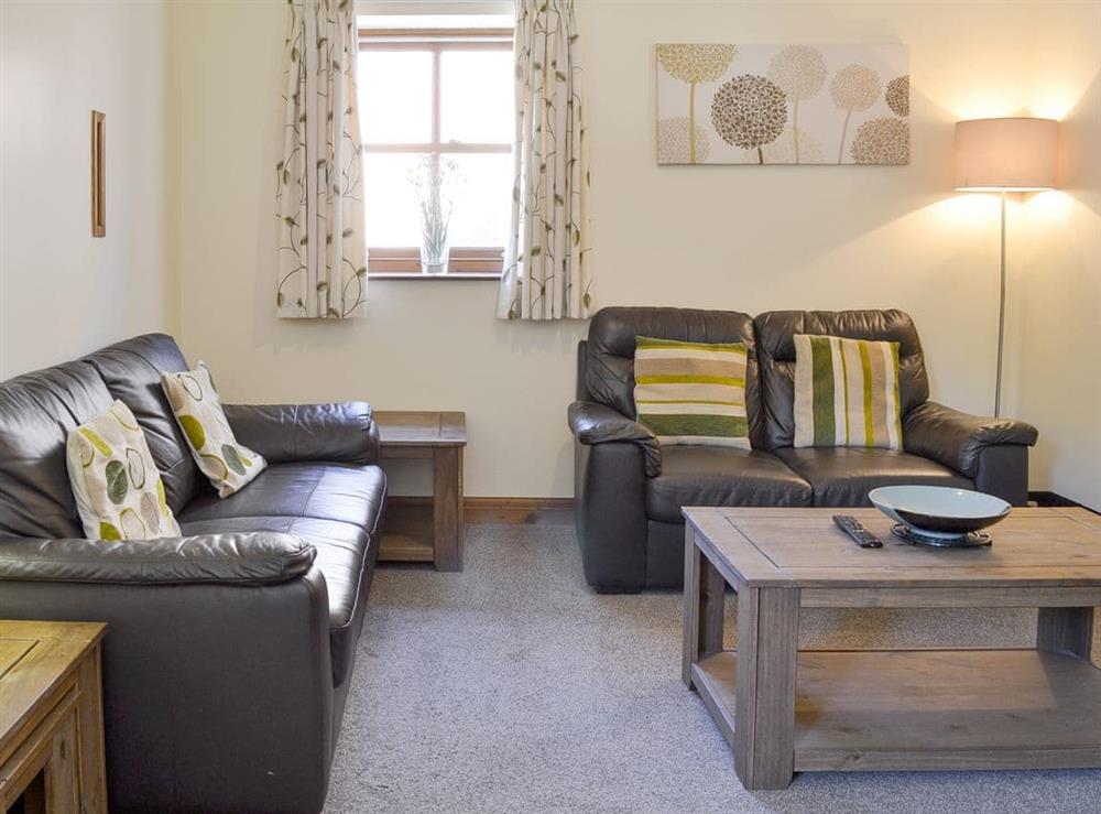 Spacious living area within the open-plan living space at Clydesdale Cottage, 