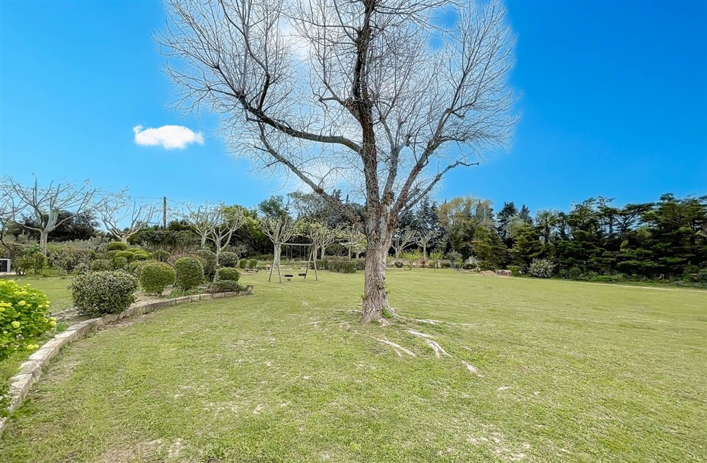 Mas De La Glycine