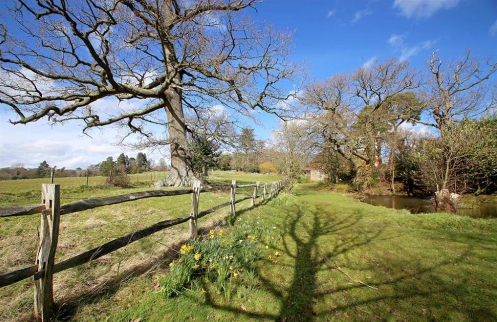 Garden at Masketts Barn, Nutley, Sussex