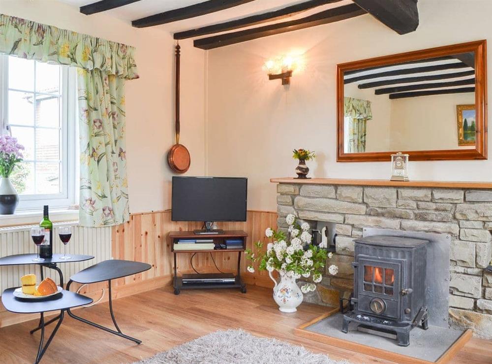 Comfortable living room with cosy wood burner at Mavis Cottage in Kingswood, near Kington, Herefordshire