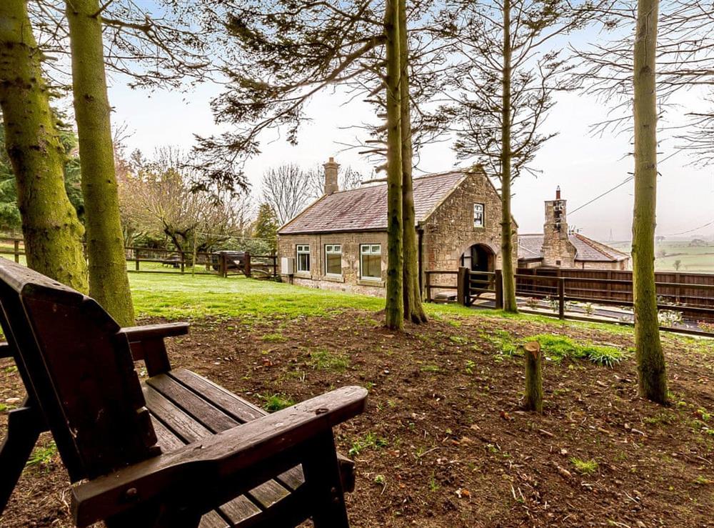 Garden (photo 3) at Maybeck Cottage in Ruswarp, near Whitby, North Yorkshire