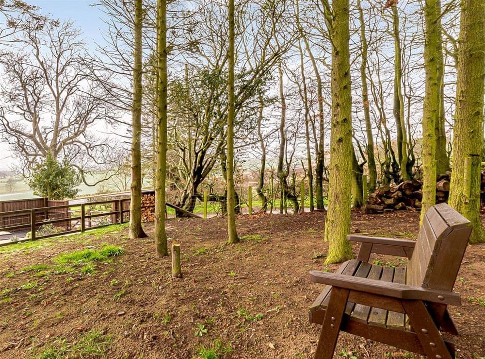 Garden (photo 4) at Maybeck Cottage in Ruswarp, near Whitby, North Yorkshire