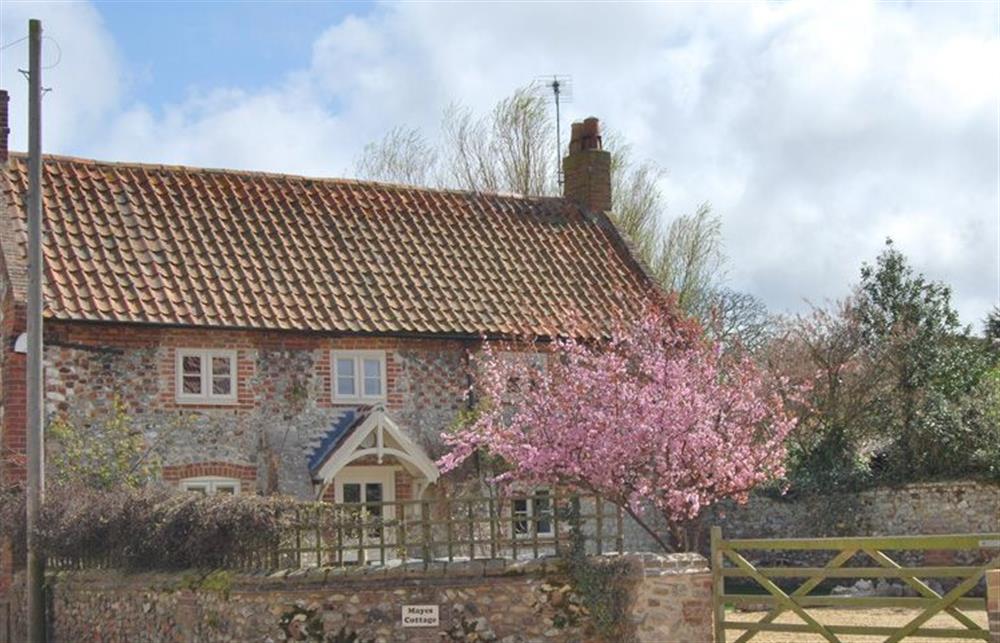 Mayes Cottage: Front elevation at Mayes Cottage, Brancaster near Kings Lynn