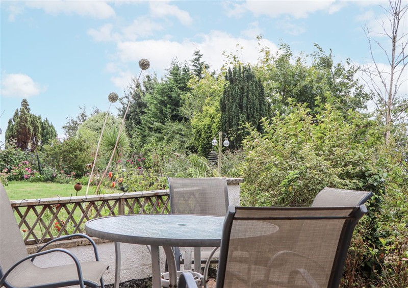Enjoy the garden at Mayflower View, Dawlish