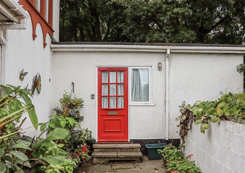 The garden at Mayflower View, Dawlish