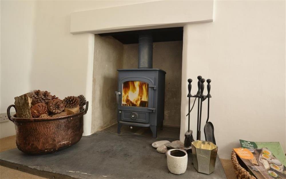 A cosy wood burner for those spring and autumn evenings. at Mays Cottage in Beesands