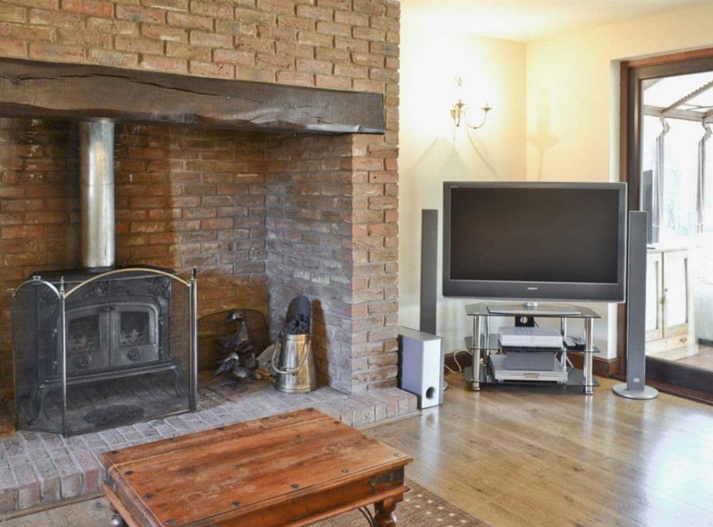 Living room (photo 2) at Maytree Cottage in Dumpling Green, near Dereham, Norfolk