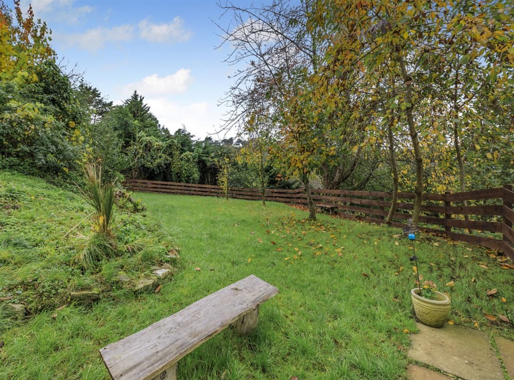 Garden at Meadfoot Cottage in Torquay, Devon
