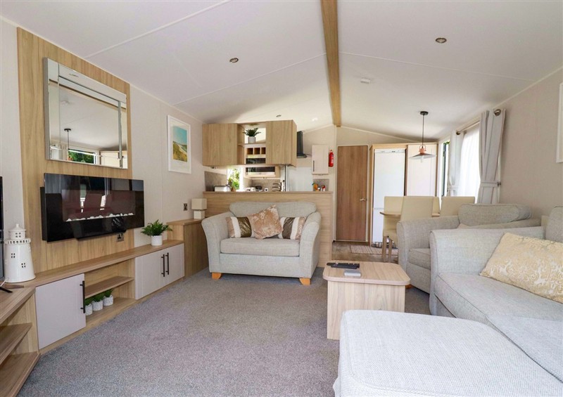 Inside Meadow 46