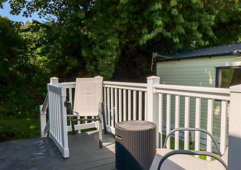 This is the patio