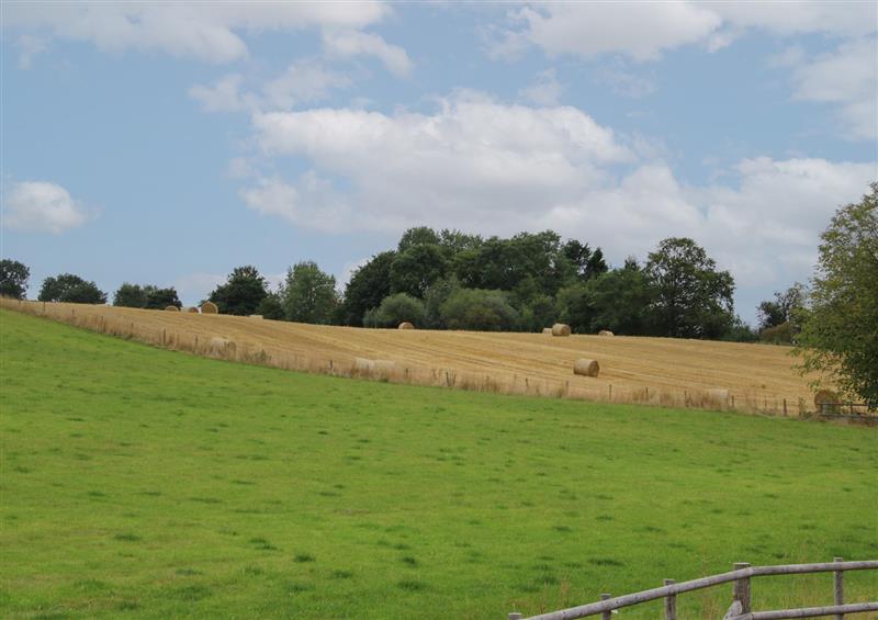 The area around Meadow Barn (photo 2) at Meadow Barn, Aston On Clun