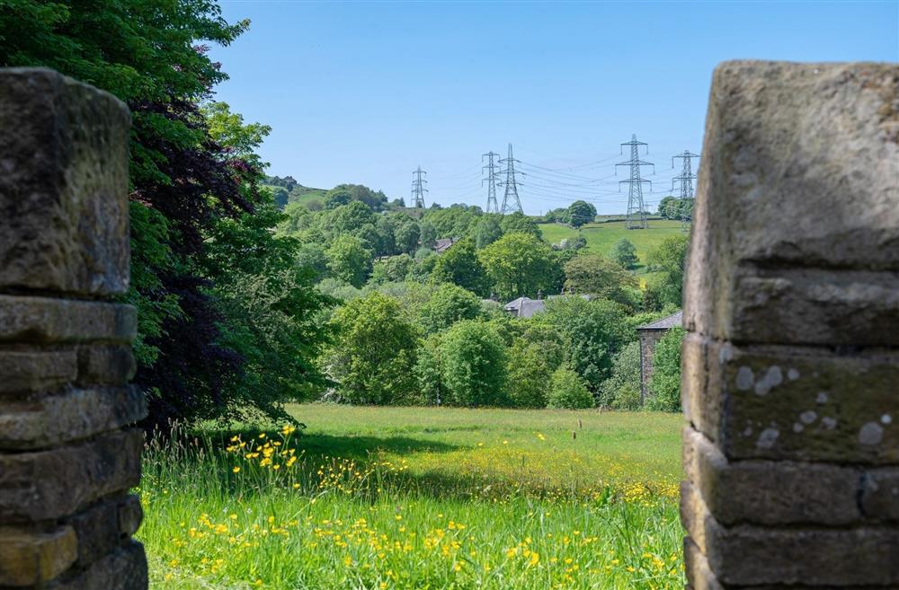 The countryside view