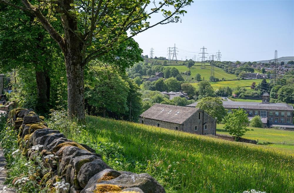 The countryside view