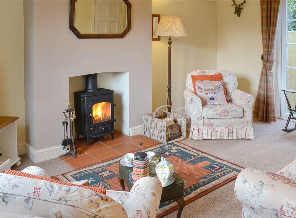 Charming living room with woodburner at Meadow Cottage in Irstead, near Wroxham, Norfolk