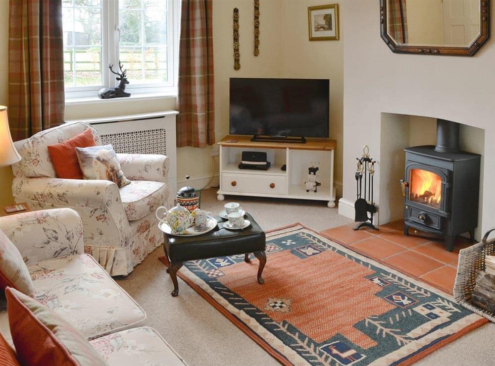 Delightful living room with cosy woodburner at Meadow Cottage in Irstead, near Wroxham, Norfolk