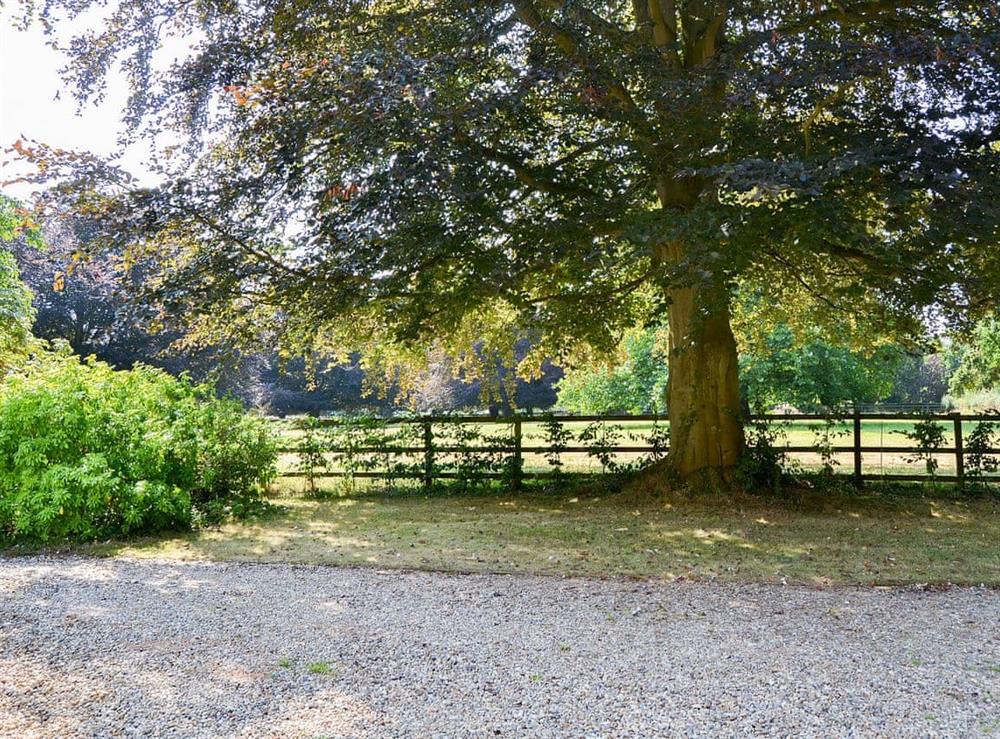 Gravelled driveway and lawned area with mature trees at Meadow Cottage in Irstead, near Wroxham, Norfolk