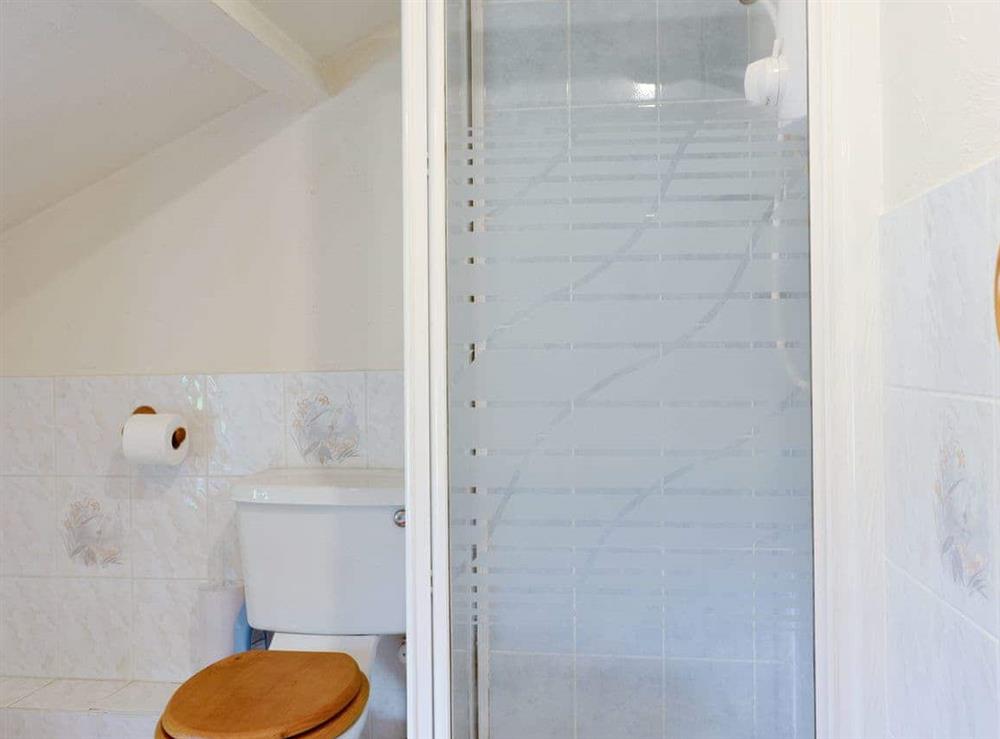 Shower room at Meadow Cottage in Linstead Parva, near Southwold, Suffolk