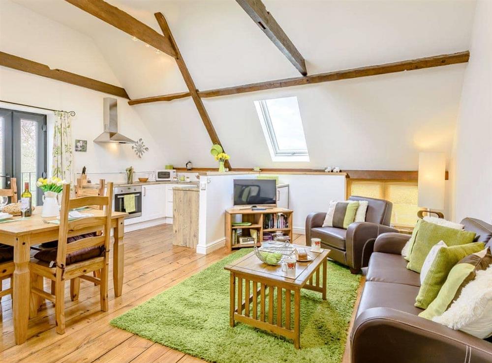 Spacious open plan living space, with vaulted ceiling and wooden floor at The Hayloft, 