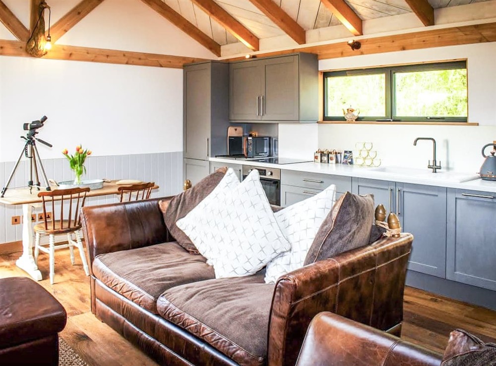 Open plan living space at Meadow Hide in Chichester, West Sussex