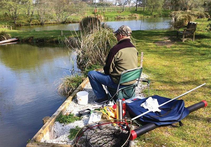 Fishing lake at Meadow Lakes Holiday Park in South Cornwall, South West of England