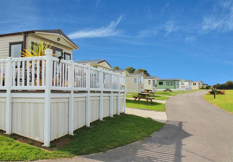 The park setting (photo number 12) at Meadow Lakes Holiday Park in St Austell, Cornwall