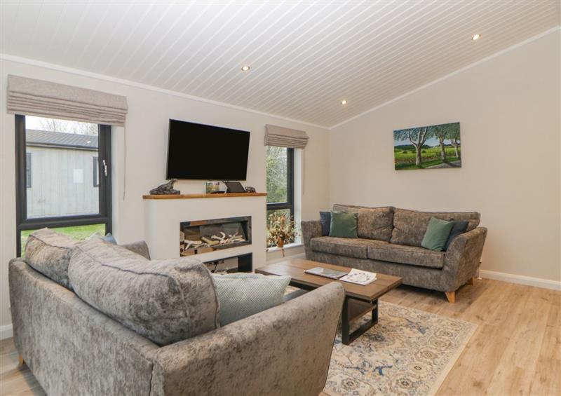 Enjoy the living room at Meadow Lodge, Broadwoodwidger near Lifton