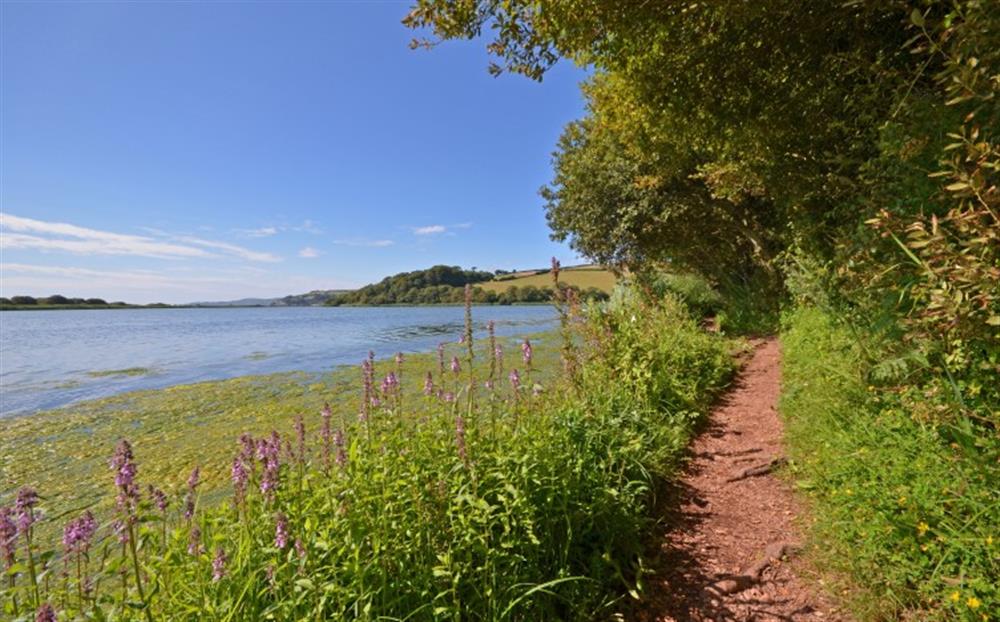 Picturesque nature walks around the Slapton Ley Nature reserve, at Meadow View in Slapton