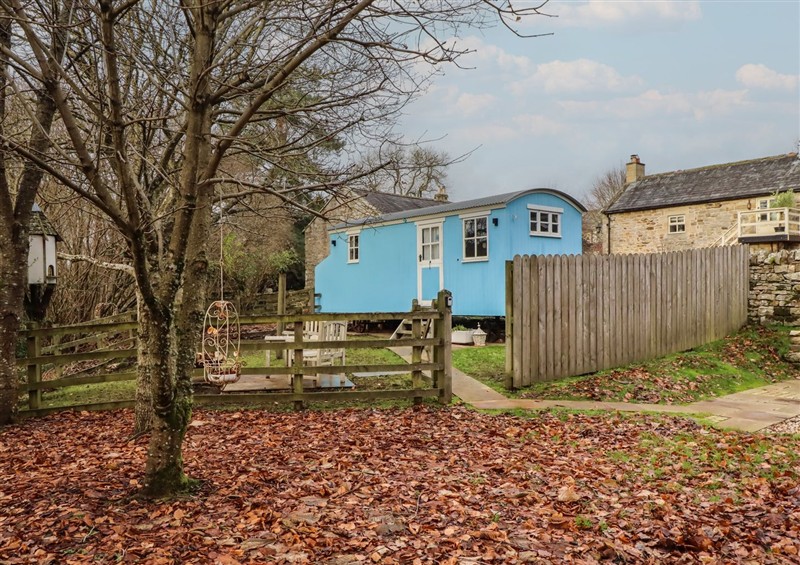 This is the setting of Meadows at Meadows, Falstone near Bellingham