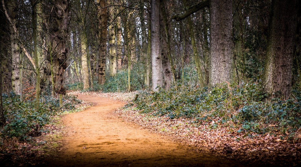 The area surrounding Meadowside, Norfolk (photo 3) at Meadowside in Norwich, Norfolk
