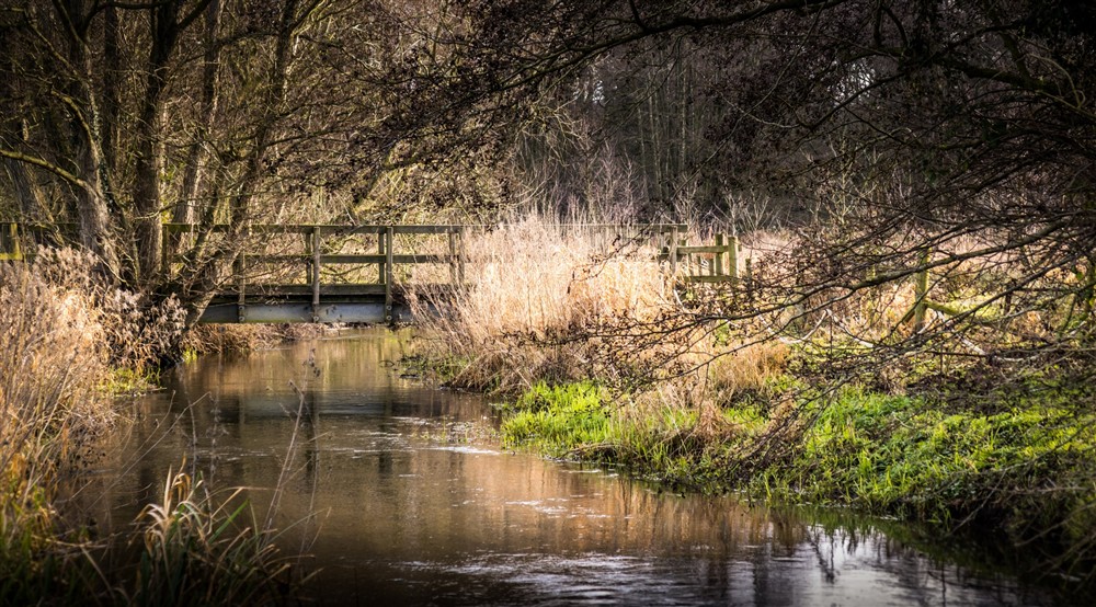 The area surrounding Meadowside, Norfolk (photo 4) at Meadowside in Norwich, Norfolk