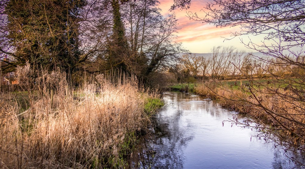 The area surrounding Meadowside, Norfolk at Meadowside in Norwich, Norfolk