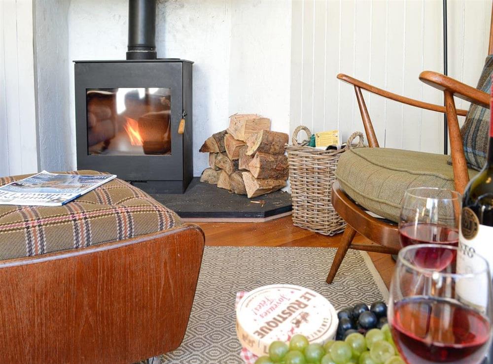 Cosy lounge area with wood burner (photo 2) at Meggerland in Kirkandrews, near Kirkcudbright, Kirkcudbrightshire
