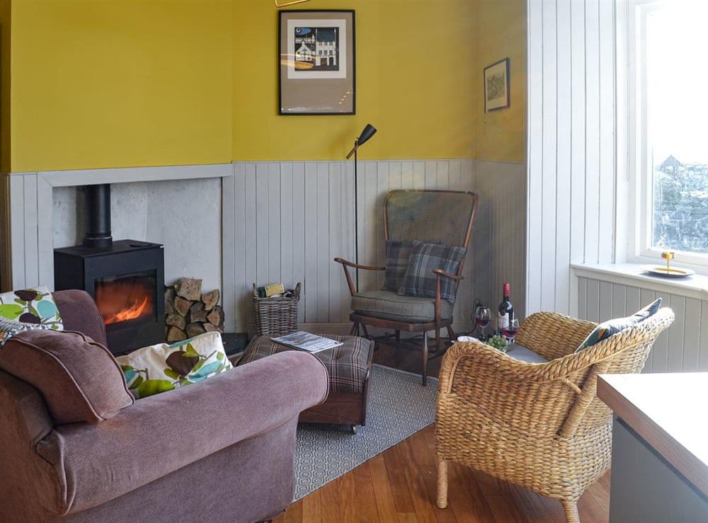 Cosy lounge area with wood burner at Meggerland in Kirkandrews, near Kirkcudbright, Kirkcudbrightshire