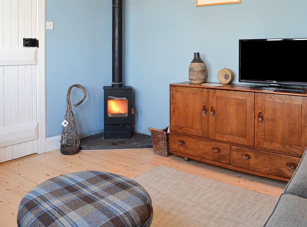 Living room with wood burner and TV at Meggerland in Kirkandrews, near Kirkcudbright, Kirkcudbrightshire