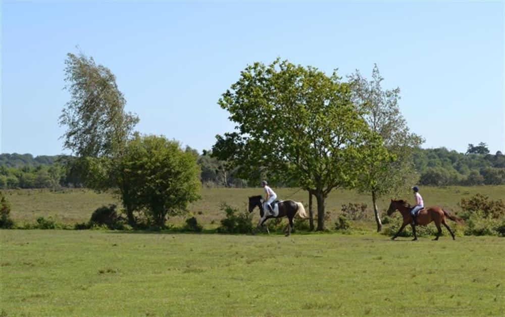 Horse riders in Brockenhurst, Whitefield Moor