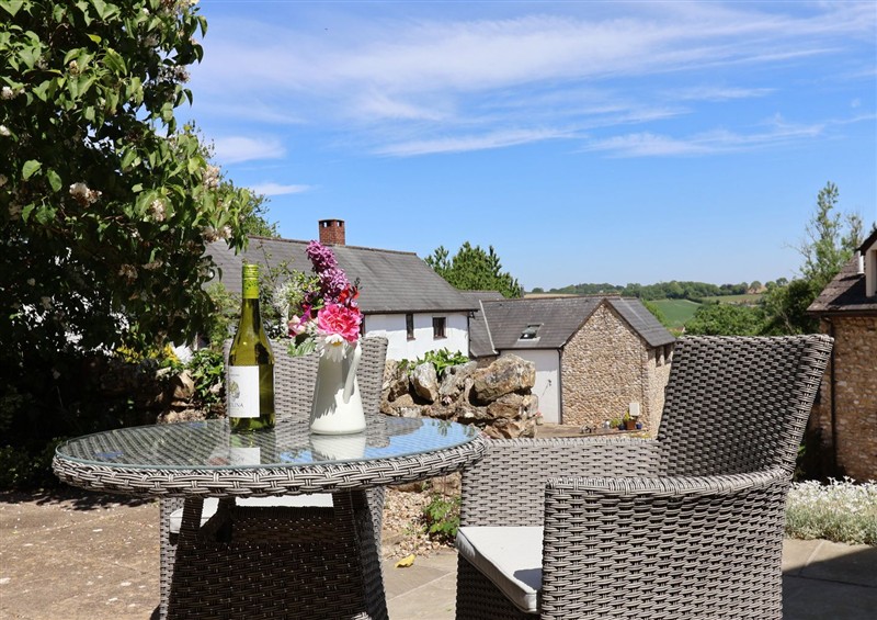 Enjoy the garden at Megs Roost, Shute near Colyton